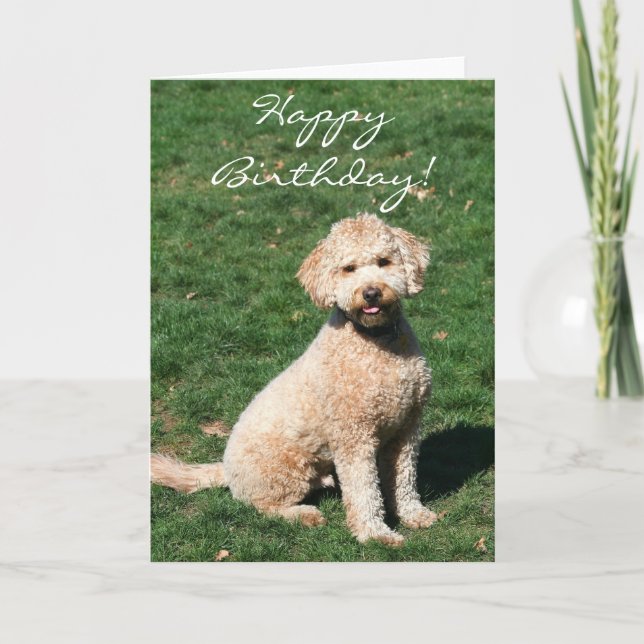 Joyeux Anniversaire Mini Goldendoodle carte de voe (Devant)