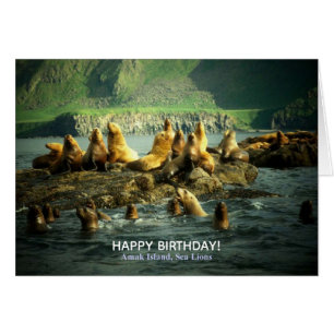 Joyeux Anniversaire Otaries de l'Île Amak