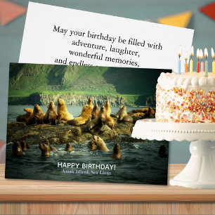 Joyeux Anniversaire Otaries de l'Île Amak