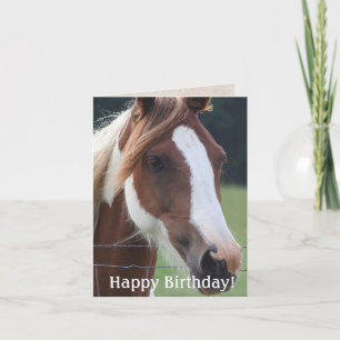 Joyeux Anniversaire Paint Horse Equestre Carte d'é