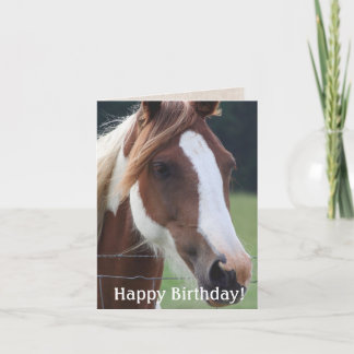 Joyeux Anniversaire Paint Horse Equestre Carte d'é