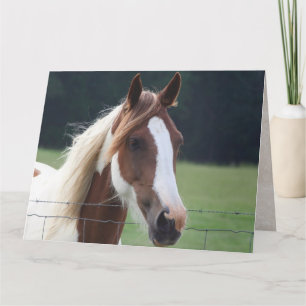 Joyeux Anniversaire Paint Horse Equestre Carte d'é