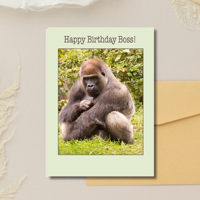 Joyeux Anniversaire Patron Gorille Dans La Carte D (Créateur téléchargé)