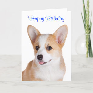 Joyeux anniversaire Pembroke Welsh Corgi Carte de 
