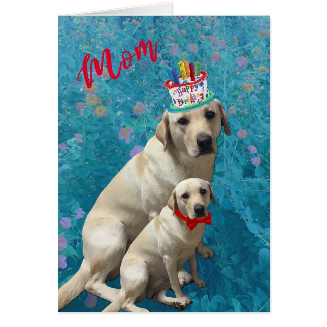 Joyeux anniversaire pour maman - Chiens du Labrado (Devant)