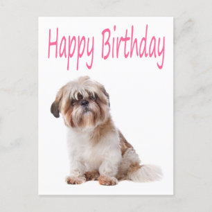 Joyeux Anniversaire Shih Tzu Puppy Carte postale