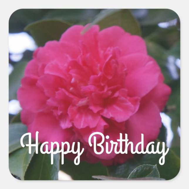 Joyeux Anniversaire Stickers Daikagura Camellia Ro (Devant)