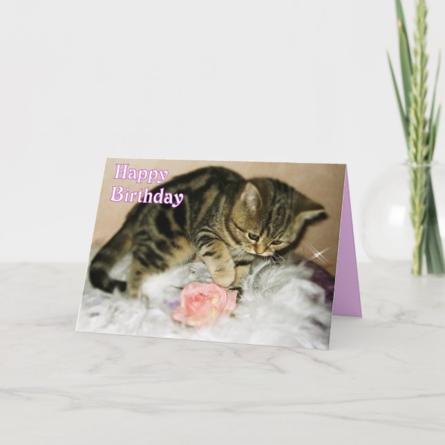 Joyeux anniversaire - Tabby Kitten carte d'anniver (Devant)