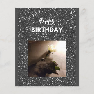 Joyeux anniversaire. Tuxedo chat avec un rose.