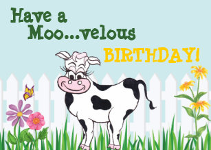 Cartes Vache D Anniversaire Zazzle Fr