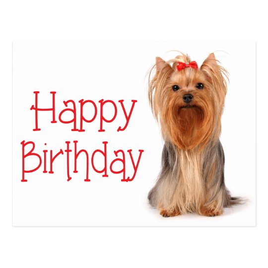 Joyeux Anniversaire Yorkshire Terrier Puppy Carte Zazzle Fr