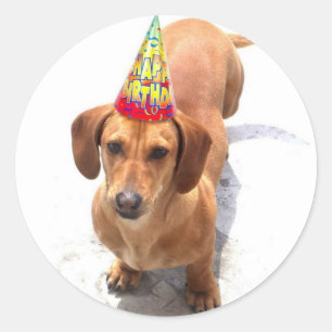 Joyeux autocollants Anniversaire Dachshund