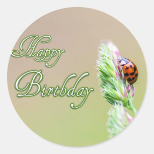 Joyeux autocollants d'anniversaire avec une coccin