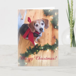 Joyeux Beagle de Noël Carte blanche personnalisabl