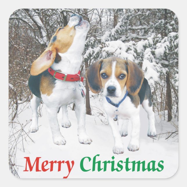 Joyeux Beagle de Noël Snowy Woods Stickers (Devant)