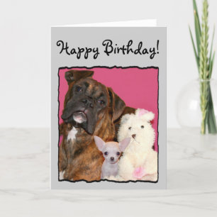 Joyeux Birthday Boxer et chihuahua carte de voeux