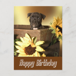 Joyeux Birthday Staffordshire Terrier Dog carte po