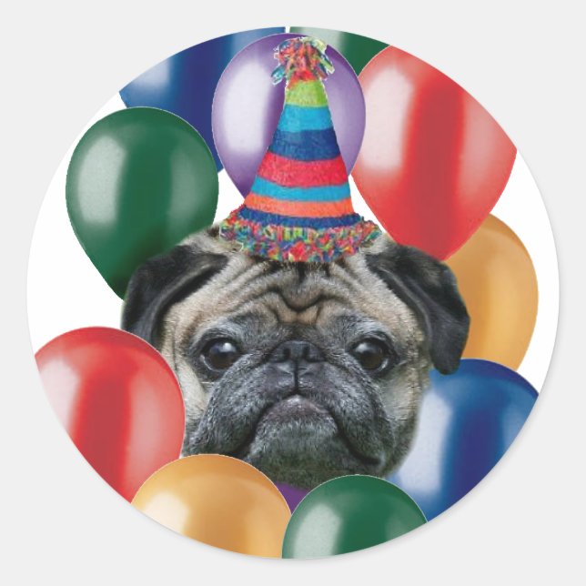 Joyeux Carlin d'anniversaire Stickers chien (Devant)