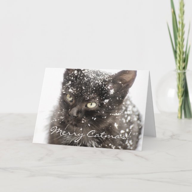 Joyeux Catmas Cat Noël Carte de voeux (Devant)