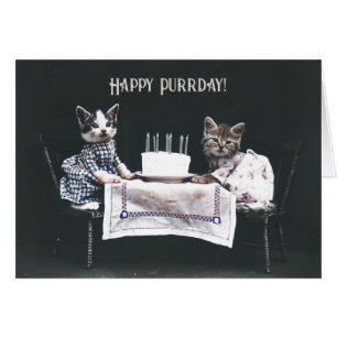 Joyeux Chats d'Anniversaire Vintage Blank Carte pl