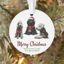 Joyeux Chiens de Noël