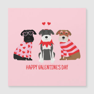 Joyeux Chiens Schnauzer de la Journée des Valentin