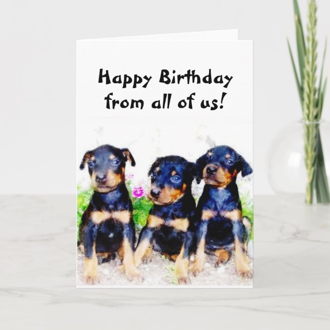 Joyeux chiot Doberman anniversaire carte de voeux (Devant)