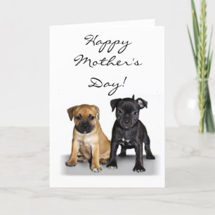 Joyeux chiots de la Fête des Mères Staffie carte d