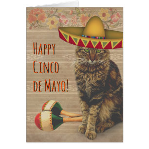 Joyeux Cinco de Mayo Chat avec Casquette mexicain