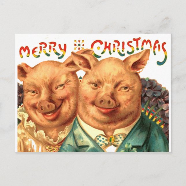 Joyeux Cochons de Noël Carte postale Vintage (Devant)