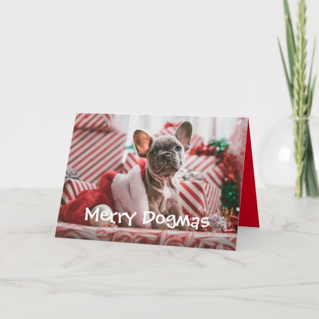Joyeux Dogmas Carte de Noël du chien (Devant)