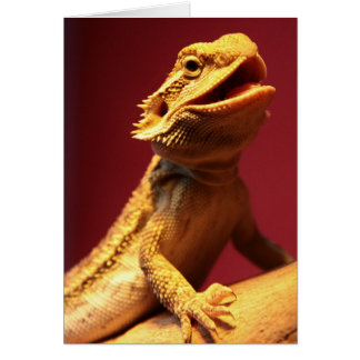 Joyeux dragon à poils