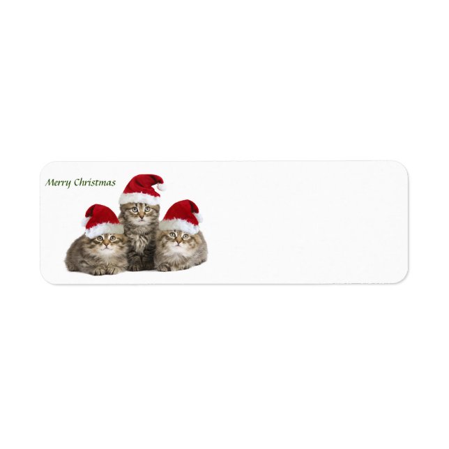 Joyeux étiquette Christmas Kittens (Devant)