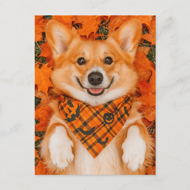 Joyeux Halloween Carte Postale Corgi Chien Mignon  (Devant)