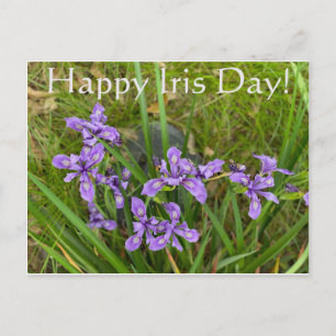 Joyeux Iris Day ! Carte postale