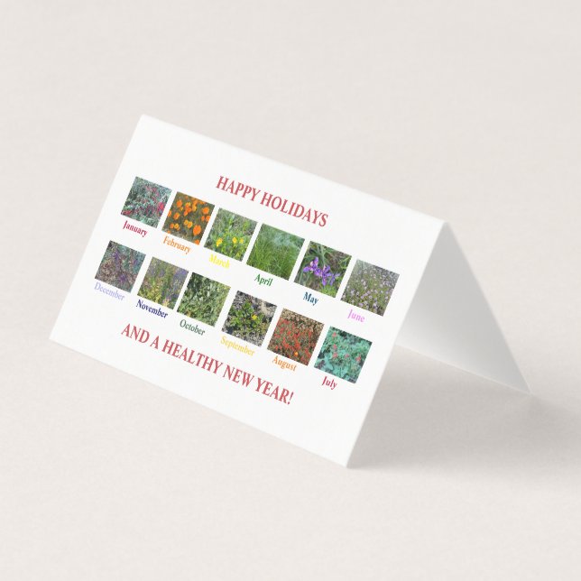 JOYEUX JOURS DE VACANCES ET UNE NOUVELLE ANNÉE SAI (Front)