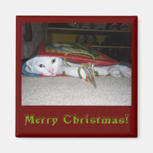 Joyeux Magnet de Noël !