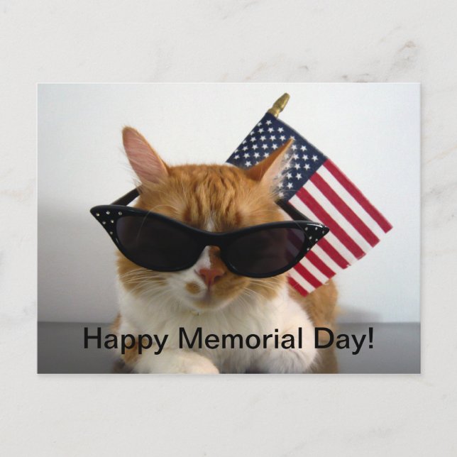 Joyeux Memorial Day Chat Cool avec Carte Postale d (Devant)