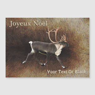 Joyeux Noё l - Bull Caribou (Reindeer)