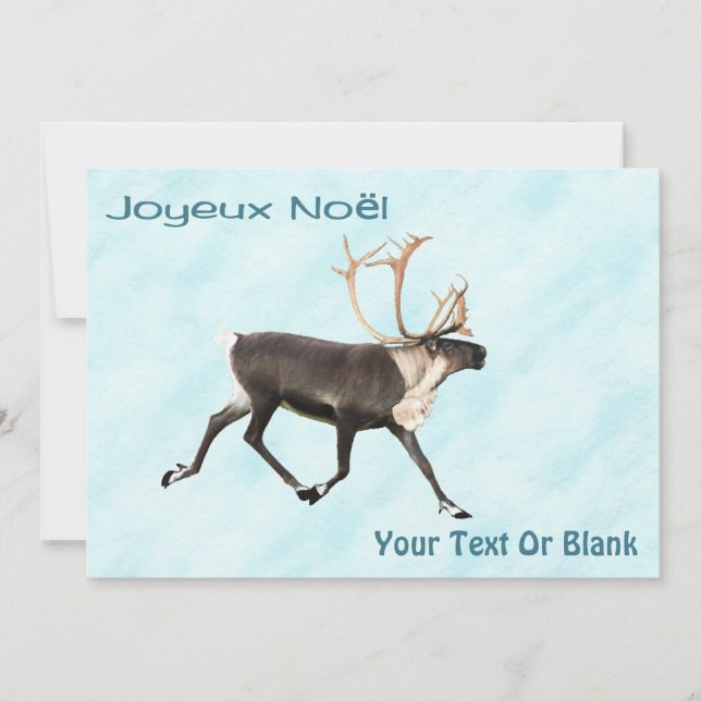 Joyeux Noё l - Caribou (rennes) Sur Neige (Devant)