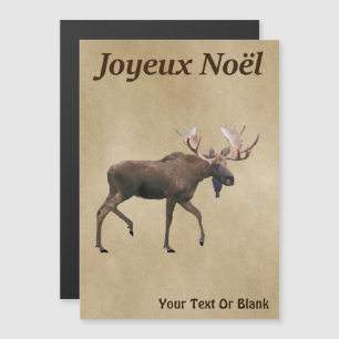 Joyeux Noё l - Oie rousse sur vieux papier