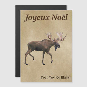 Joyeux Noё l - Oie rousse sur vieux papier