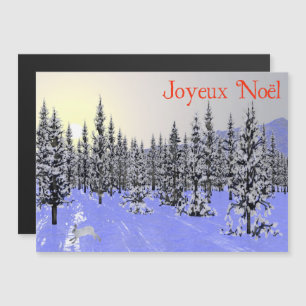 Joyeux Noё l - Solstice d'hiver