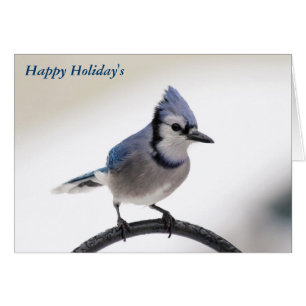 Joyeux Noël