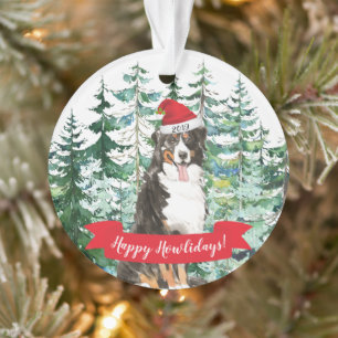 Joyeux Noël au chien de montagne bernois