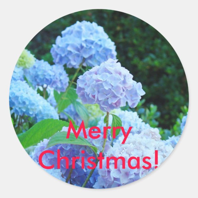 Joyeux Noël ! autocollants Blue Lavender Hydrangea (Devant)