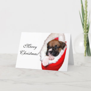 Joyeux Noël boxer chiot carte de voeux