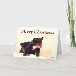 Joyeux Noël - Carte de voeux Lakota & Paiute