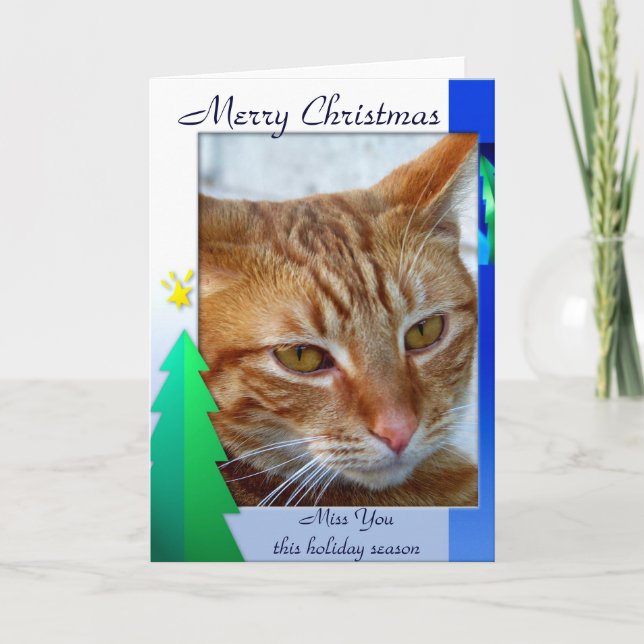 Joyeux Noël, carte féline (Devant)