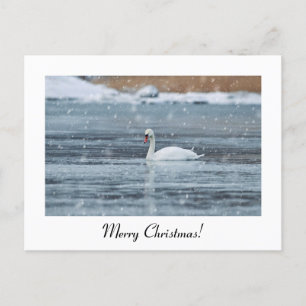 Joyeux Noël carte postale de cygne à neige